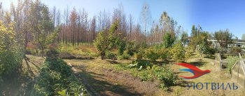 Бревенчатый дом в СНТ Ветеран в Дубне - dubna.yutvil.ru - фото 12 Бревенчатый дом в СНТ Ветеран в Дубне - dubna.yutvil.ru - фото 12