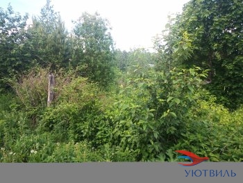 Земля в Станционном-Полевском в Дубне - dubna.yutvil.ru - фото 3