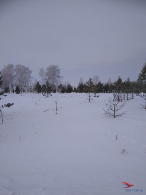 Баженово ул Южная д 7 в Дубне - dubna.yutvil.ru - фото 2