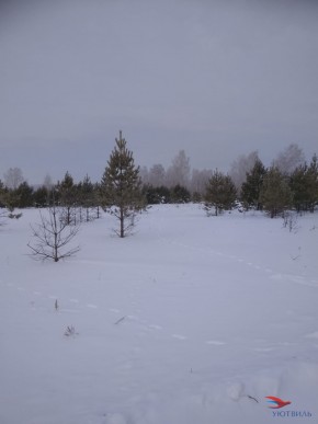 Баженово ул Южная д 7 в Дубне - dubna.yutvil.ru - фото 5