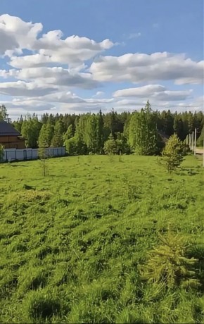 ДП Родной в Дубне - dubna.yutvil.ru - фото 4