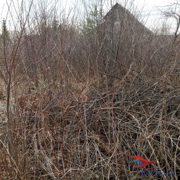 садовый участок в Дуброво-1 в Дубне - dubna.yutvil.ru - фото 3 садовый участок в Дуброво-1 в Дубне - dubna.yutvil.ru - фото 3