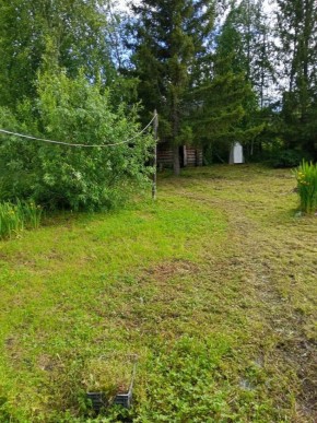 СНТ Калининец-10, уч. 1-11-3 в Дубне - dubna.yutvil.ru - фото 10 СНТ Калининец-10, уч. 1-11-3 в Дубне - dubna.yutvil.ru - фото 10