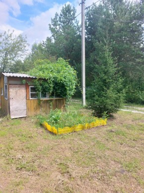 СНТ Родники в Дубне - dubna.yutvil.ru - фото 1