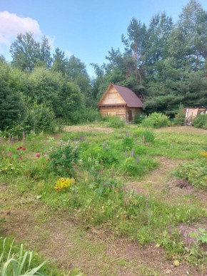 СНТ Родники в Дубне - dubna.yutvil.ru - фото 2