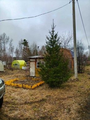 СНТ Родники в Дубне - dubna.yutvil.ru - фото 5