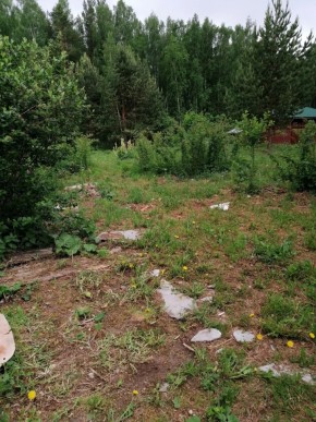 СТН Семья №112, Верхняя пышма на землях бывшего подсобного хозяйтва верхнепышминского опытного завода в Дубне - dubna.yutvil.ru - фото 17 СТН Семья №112, Верхняя пышма на землях бывшего подсобного хозяйтва верхнепышминского опытного завода в Дубне - dubna.yutvil.ru - фото 17