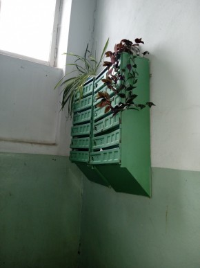 ул. Бажова,11 в Дубне - dubna.yutvil.ru - фото 3 ул. Бажова,11 в Дубне - dubna.yutvil.ru - фото 3