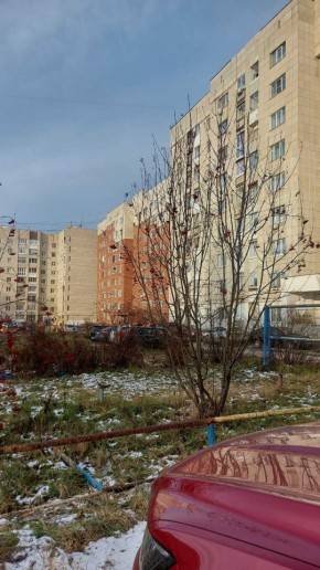 ул. Даниловская,5 в Дубне - dubna.yutvil.ru