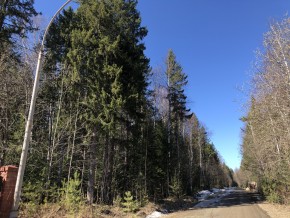 ул. Калиновая,9 в Дубне - dubna.yutvil.ru - фото 4