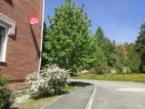 ул. Сосновая, 8 в Дубне - dubna.yutvil.ru - фото 25