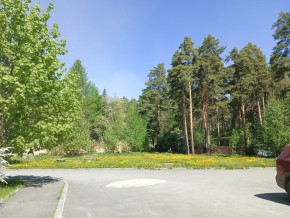 ул. Сосновая, 8 в Дубне - dubna.yutvil.ru - фото 26