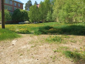 ул. Сосновая, 8 в Дубне - dubna.yutvil.ru - фото 33