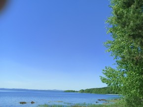 ул. Сосновая, 8 в Дубне - dubna.yutvil.ru - фото 34